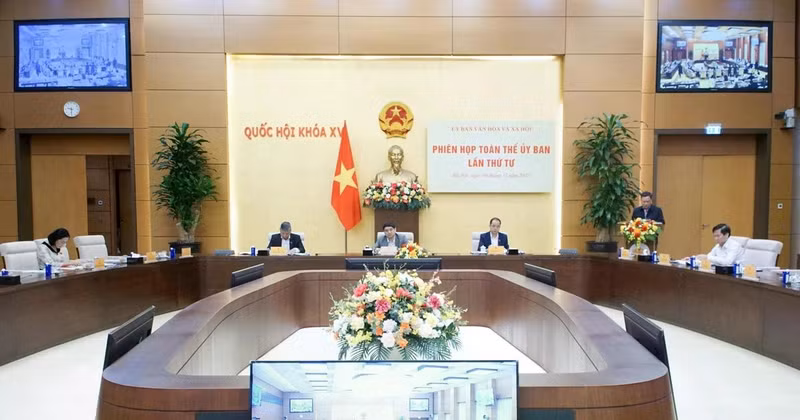 文化与社会委员会的任务与权限
