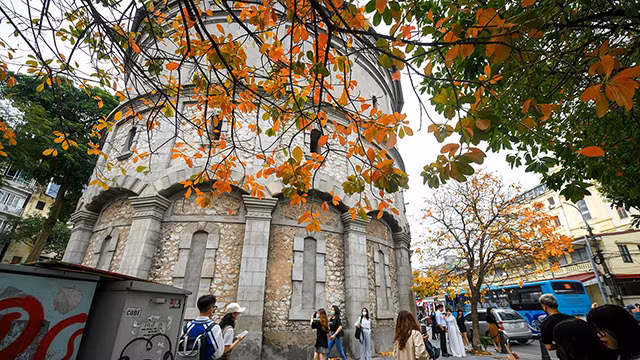 河内市落叶季节 美不胜收 让人着迷（组图） ảnh 2