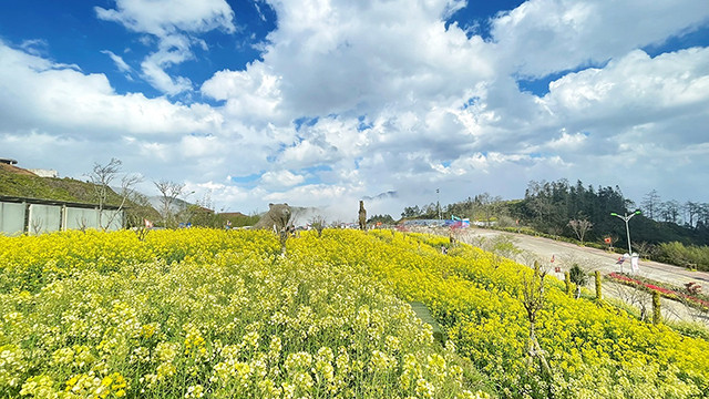 番西邦:祈求平安季节的目的地(组图) ảnh 1 番西邦:祈求平安季节的目的地(组图) ảnh 1