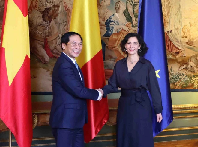 越南外交部长裴青山会见比利时外交大臣拉比卜。 越南外交部长裴青山会见比利时外交大臣拉比卜。