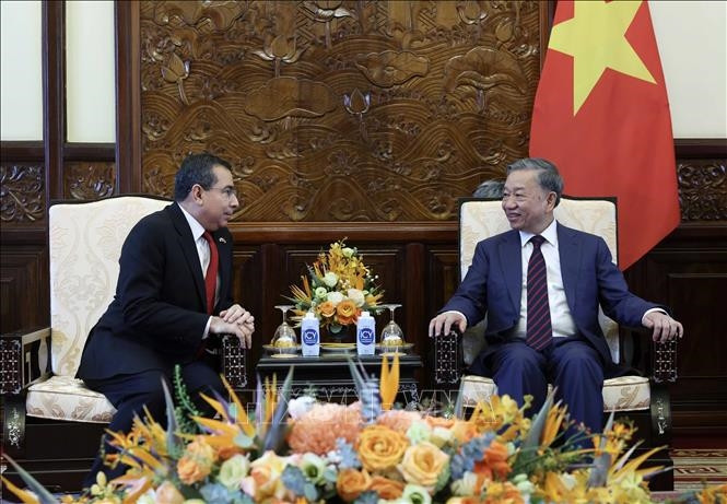 国家主席苏林会见巴拿马驻越大使埃利希奥·阿尔贝托·萨拉斯。 国家主席苏林会见巴拿马驻越大使埃利希奥·阿尔贝托·萨拉斯。