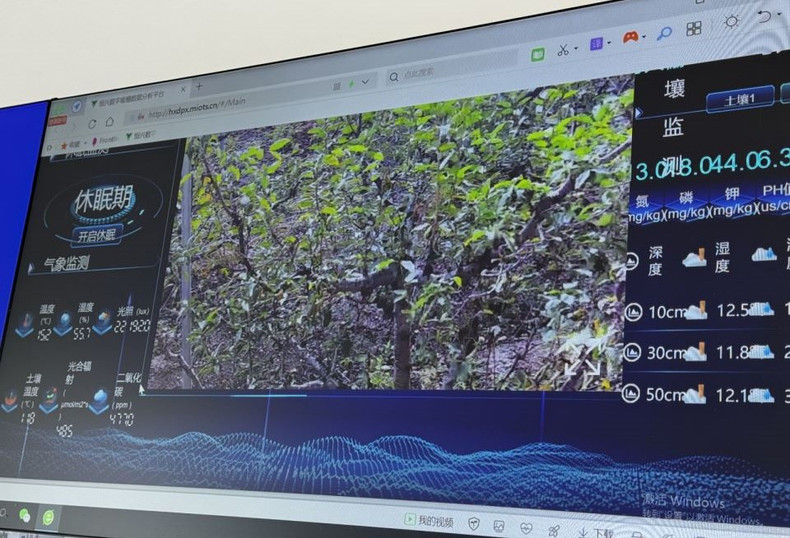 产业园采用大数据平台实时监控果园。 产业园采用大数据平台实时监控果园。