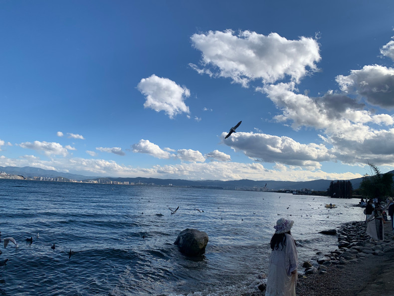 洱海湖的一角。 洱海湖的一角。