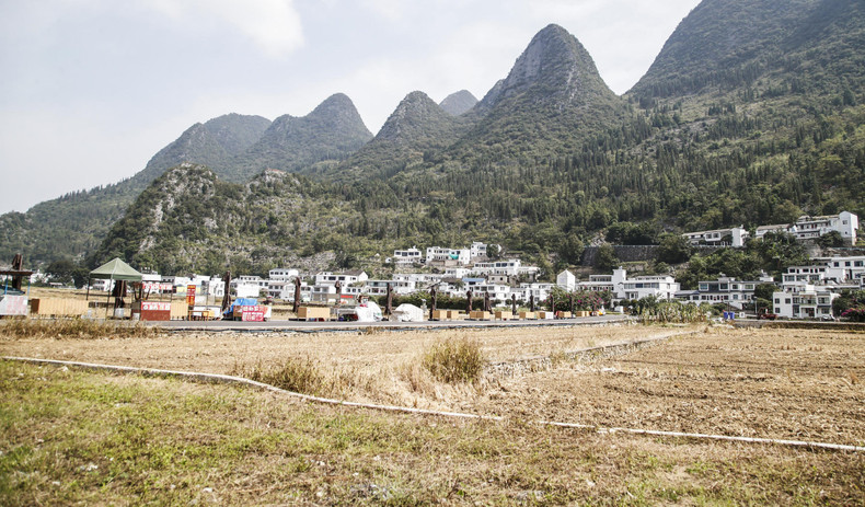 被誉为“中国锥状喀斯特博物馆”的万峰林景区。 被誉为“中国锥状喀斯特博物馆”的万峰林景区。