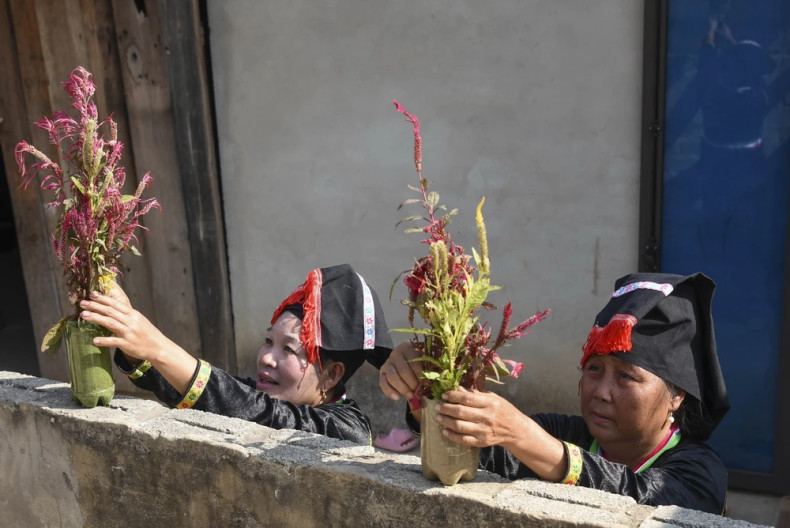 贡族妇女插鸡冠花。 贡族妇女插鸡冠花。