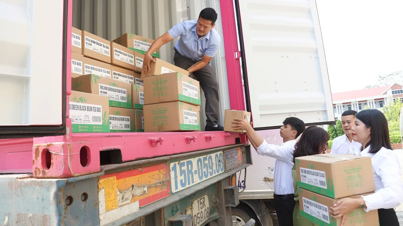 宣光省首批农产品出口国际市场，共有2200件，使用瓶、盒、罐来包装并贴有商标。