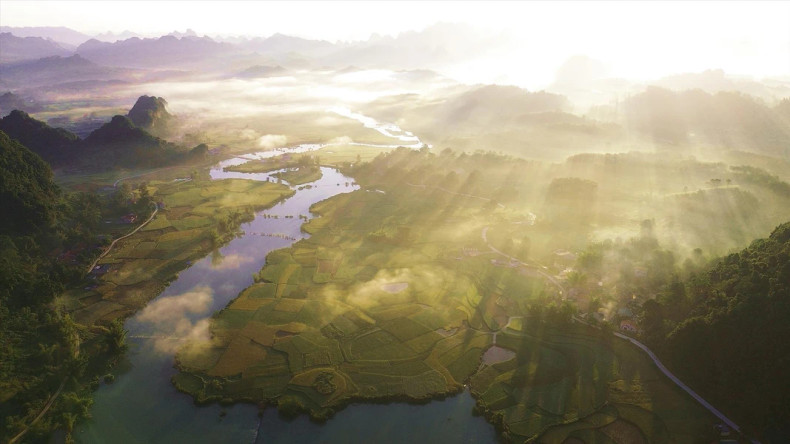 已经收割的田地与金黄色的成熟稻田交错排列。