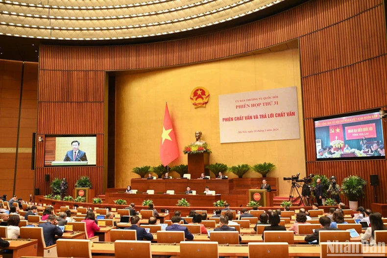 财政、外交领域专题询问会全景。