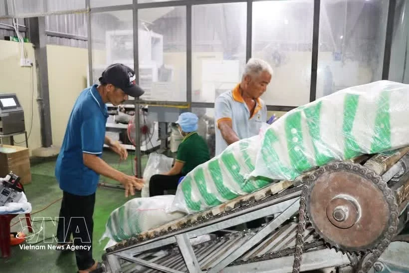 Việt Nam xuất khẩu 5,3 triệu tấn gạo, thu về 2,52 tỷ USD ngoại hối