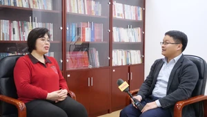 中国学者潘金娥评越共十四大成果【视频】