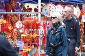 2025年前10个月，澳大利亚继续跻身越南十大客源市场之列。（成达 摄）