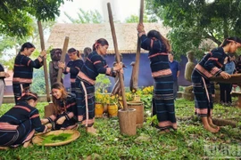 波来古市邑村已成为与嘉莱族文化保护相结合的社区旅游示范村。