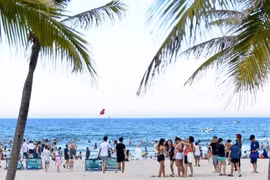 岘港是今年夏季搜索热度最高的海滨旅游目的地之一。