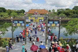 2025年前10个月，顺化市接待游客量约达539万人次，同比增长65%。