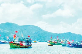 昆岛码头上，渔民的船只往来穿梭，一派繁忙景象。（范梦 摄）