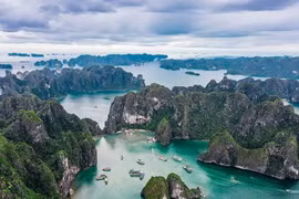 法国《巴黎人报》评价称，越南以壮丽的自然风光、悠久的文化遗产以及极具吸引力的美食文化闻名于世。