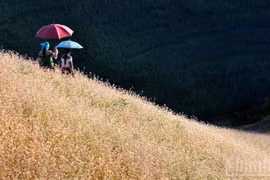 越南旅游第一季度强劲增长。