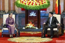 越南国家主席梁强会见柬埔寨人民党副主席梅森安。（图片来源：越通社）