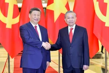 越共中央总书记苏林和中共中央总书记、中国国家主席习近平。