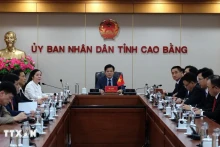 越南高平省人民委员会代表团。（图片来源：越通社）