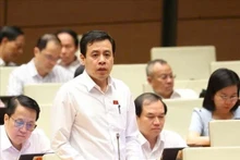 胡志明市国会代表陈英俊。（图片来源：越通社）