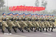 南方解放、国家统一50周年阅兵仪式彩排。（图片来源：越通社）