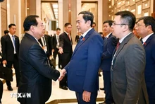 越南国会主席陈青敏会见老挝国会对外委员会主任萨尼亚·巴修斯。（图片来源：越通社）