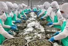 近年来，越南对美国的农林水产品出口每年均超过130亿美元（顺差超过100亿美元），而从美国的进口额约为30亿美元/年。