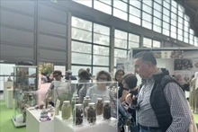 国际友人参观越南展位。