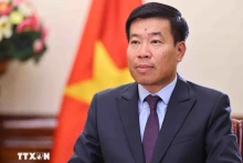 越南外交部副部长阮孟强。（图片来源：越通社）
