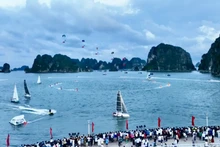 2024年帆船、滑翔伞、水上摩托车节在下龙湾举行。