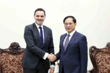 越南政府副总理兼外交部长裴青山会见法国主管外贸和海外侨民事务的部长级代表洛朗·圣-马丁。