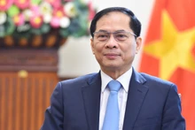 越南政府副总理兼外交部长裴青山。