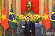 越南与巴西两国领导人发表联合声明。