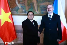 越南政府总理范明正同捷克总理菲亚拉举行会谈。（图片来源：越通社）