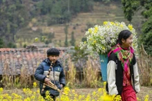 河江省同文县崇拉乡绚丽夺目的油菜花海。（图片来源：越通社）