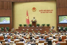 5月29日，国会在大会堂召开全体会议。
