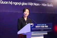 韩国驻越南大使吴英珠: 进一步推动越韩全面战略伙伴关系