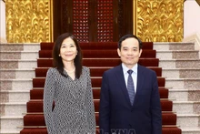 政府副总理陈流光会见联合国常驻越南协调员宝琳·塔梅西斯。