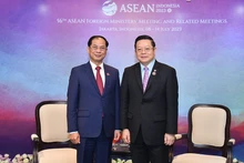 越南外交部部长裴青山（左）会见东盟秘书长高金洪。