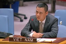 越南常驻联合国代表团团长邓黄江大使。
