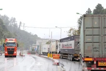 越南工贸部全力解决边境口岸货物拥堵问题