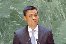 越南常驻联合国代表团团长邓黄江大使在会上发表讲话。