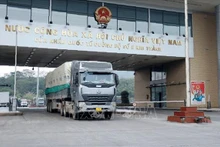 附图。（图片来源：越通社）