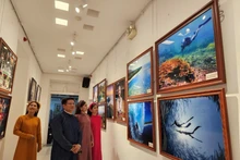 代表们参观展览。