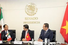 越南国会副主席陈光方在墨西哥参议院与参议院第一副议长弗洛雷斯举行会谈。