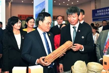 陈流光副总理参观参加南博会的越南及地区其他国家的展位。