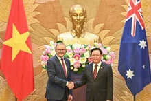 越南国会主席王廷惠会见澳大利亚总理安东尼·阿尔巴尼斯。（维灵 摄）