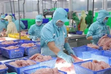 9月份，越南水产品出口额达8.62亿美元，相当于2022年的水平。