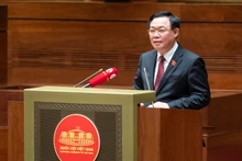 越南国会主席王廷惠在会见上致辞。（图片来源：baochinhphu.vn）